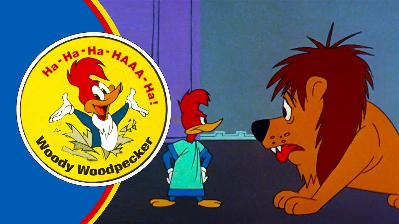 Woody Vs a Lion!  | Woody Woodpecker