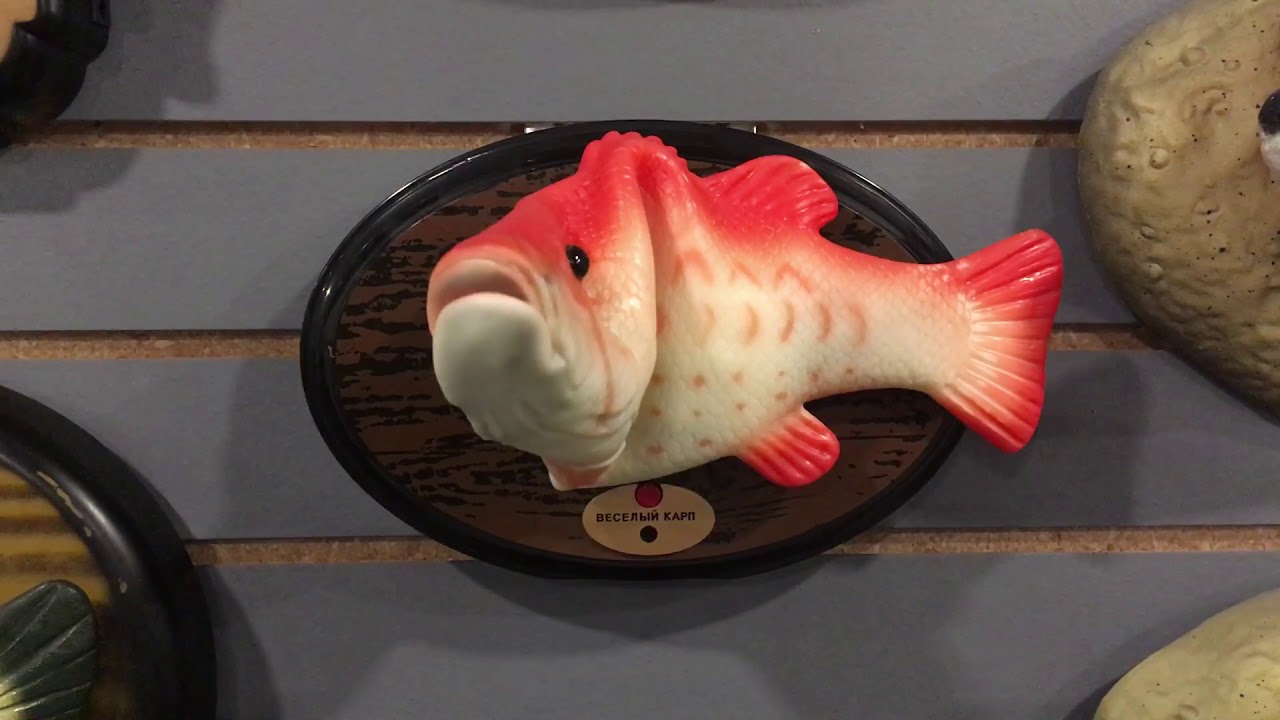 веселый карп (Russian Singing Fish) - Orange (Reupload)