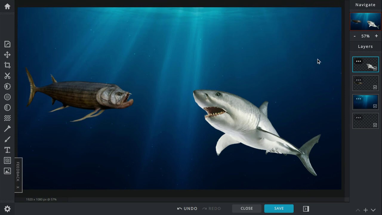 Xiphactinus vs Great White Shark