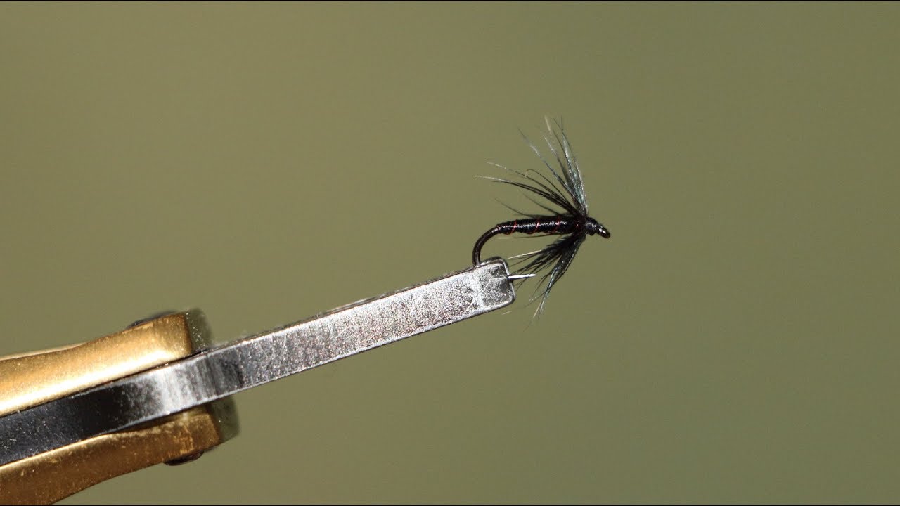 Montage d'une mouche noyée, aile en étourneau