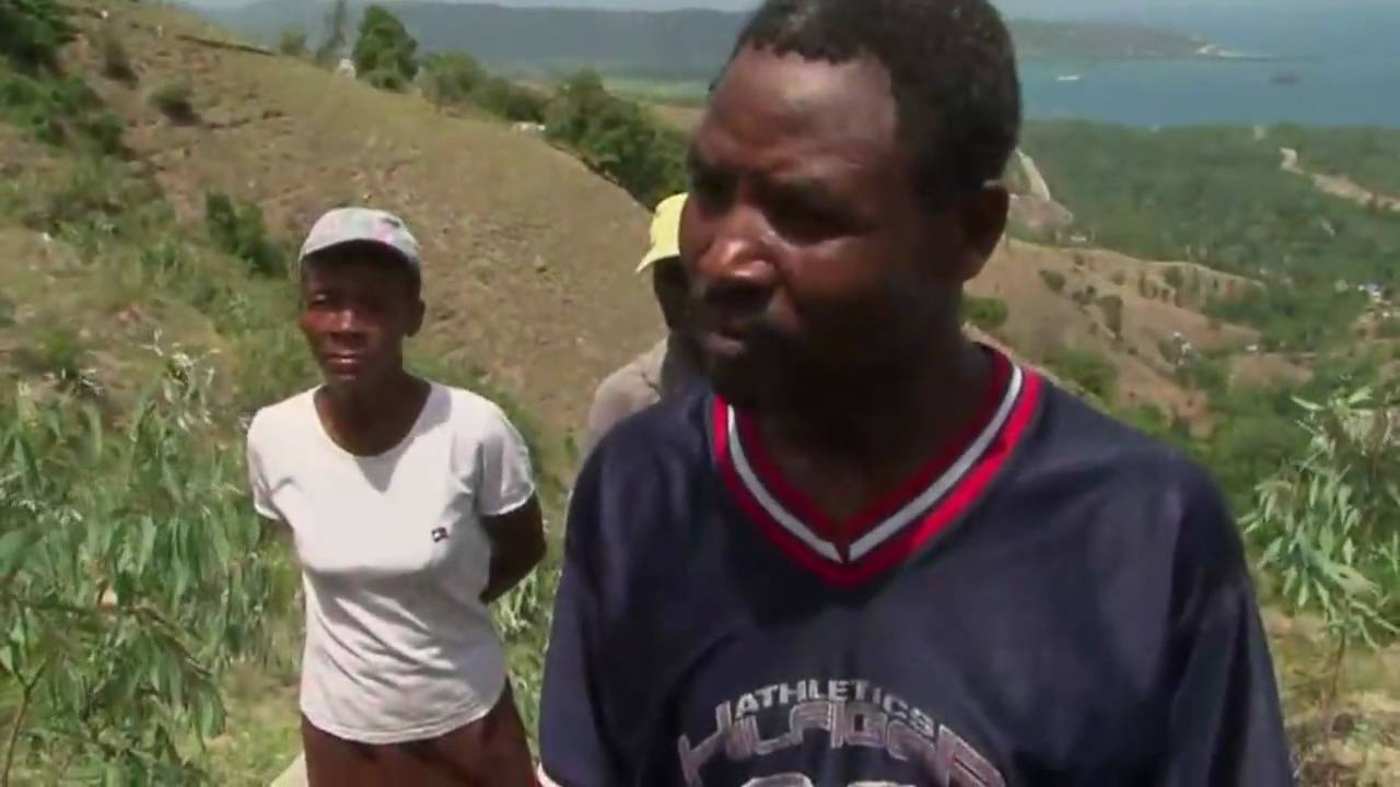 Planting Trees Restores Soil in Haiti