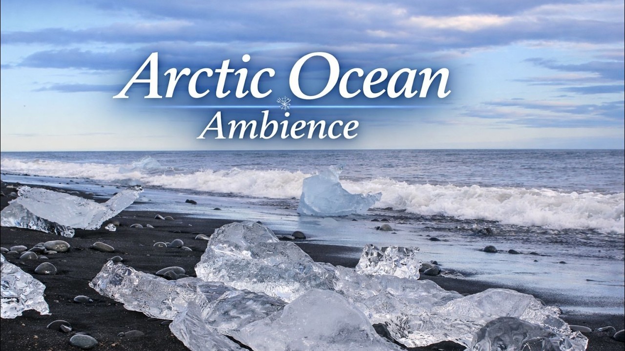 8 Hours Arctic Ocean Ambience ❄️ Gentle Waves on Black Sand Beach | Deep Relaxing Sea Sounds