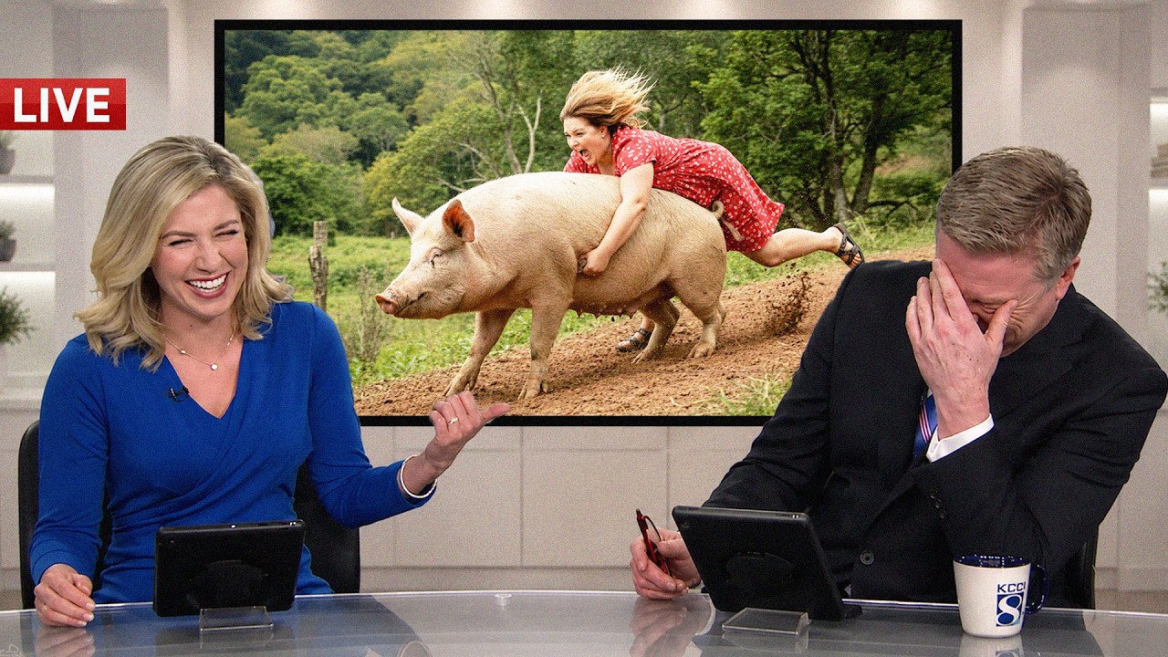 Live News Bloopers That Ended In Pure Laughter