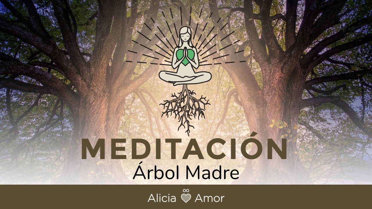 MEDITACIÓN del Árbol Madre - Alicia Amor
