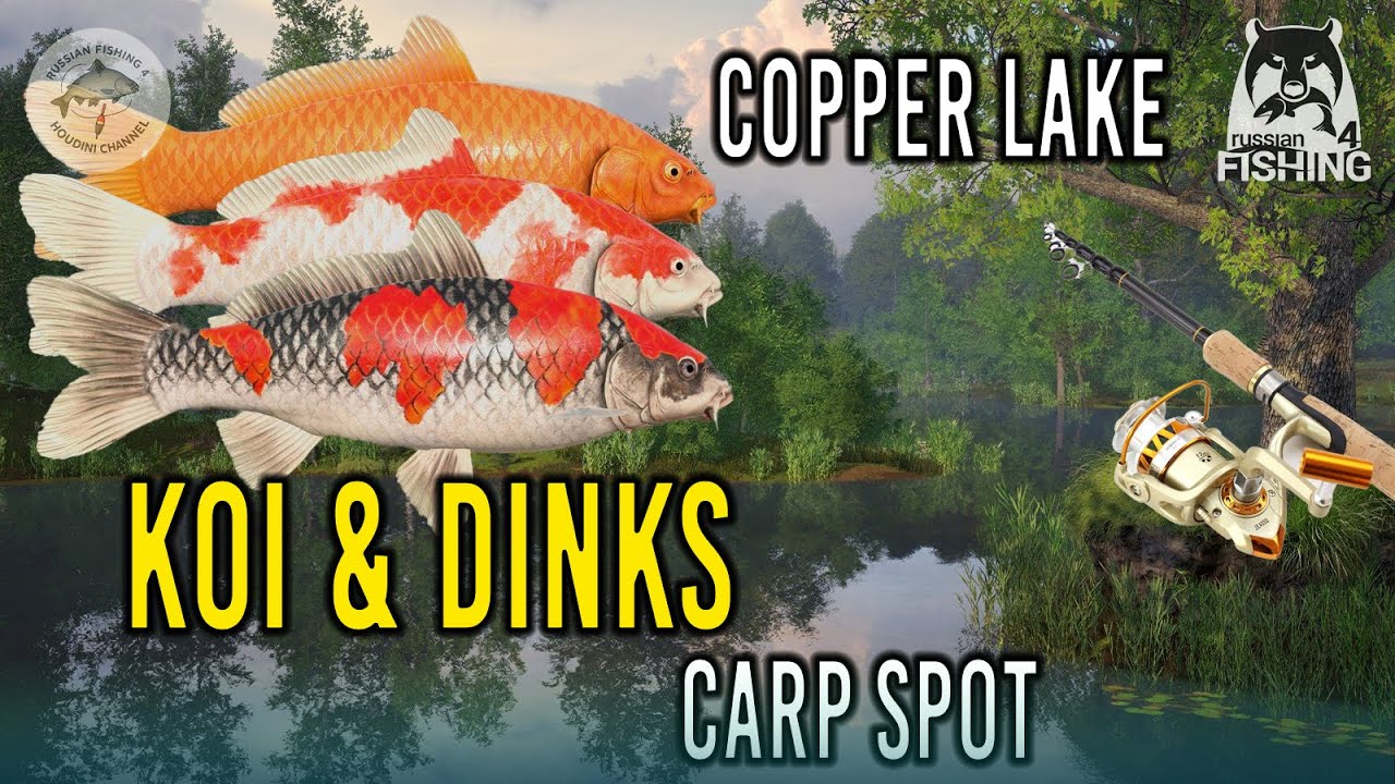 📌 RARE KOI & DINKS CARPS! Best Spot & Setup on Copper Lake &ndash; Russian Fishing 4 Guide