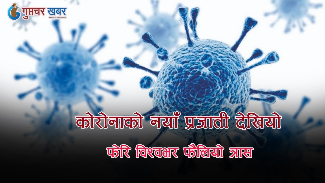 कोरोनाको नयाँ प्रजाती देखियो: फेरि विश्वभर फैलियो त्रास // Corona new verient // guptachar Khabar