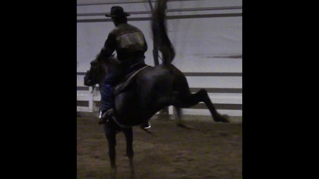 How to Stop Horses from Bucking Part 2 with Mike Hughes, Auburn California