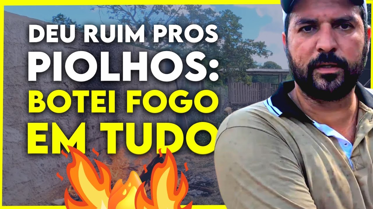 Queimei todos os POLEIROS e NINHOS para acabar com INFESTAÇÃO