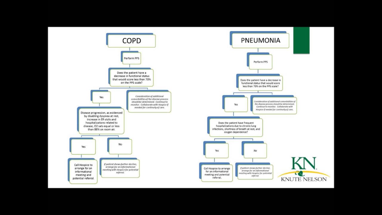 PPS Training PPT