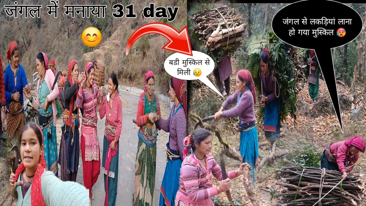 पहाड़ी महिलाओं की जिंदगी 😱 31 day मनाया जंगल में 😄 लकड़ियां मिलनी हो गयी मुस्किल 🥲 #pahadilifestyle 