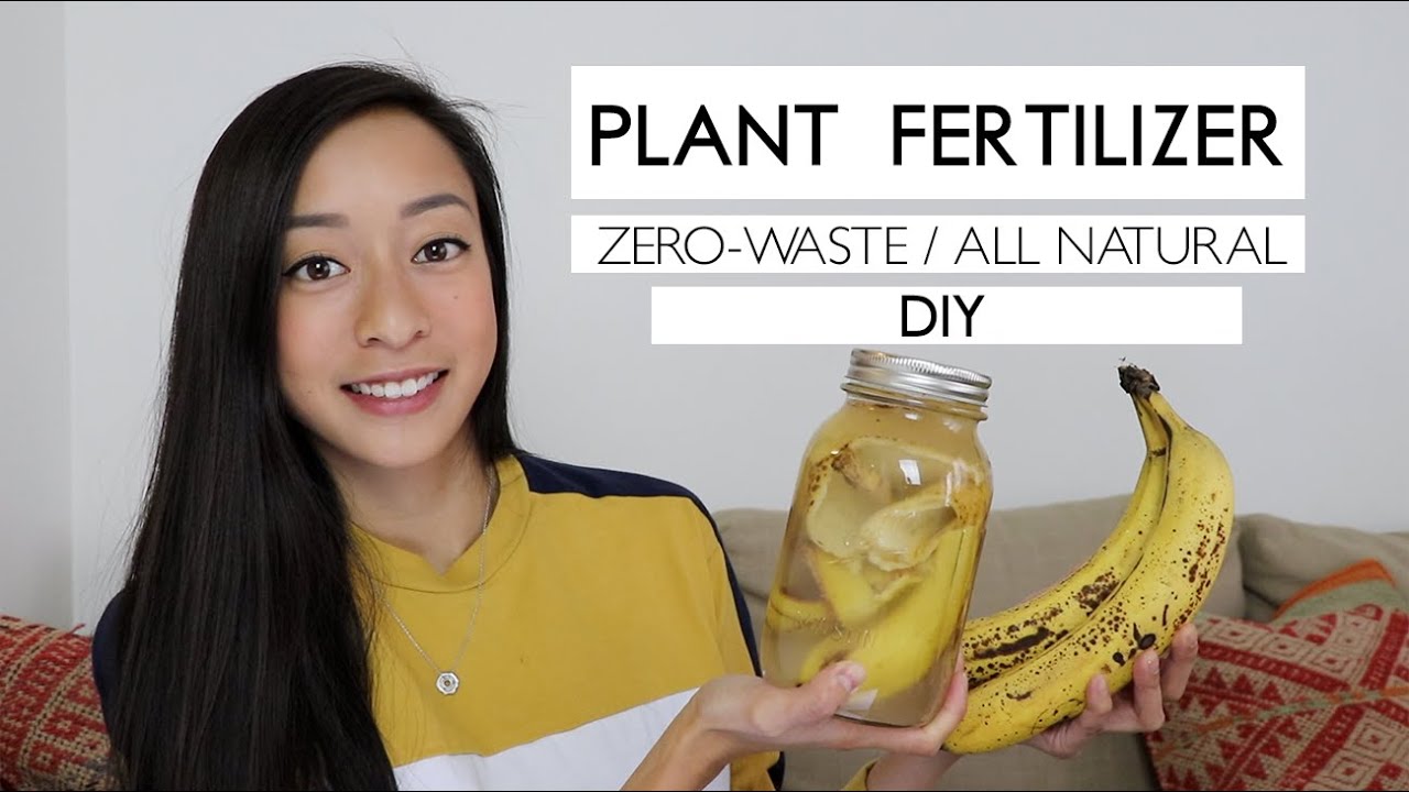DIY | All-Natural Plant Fertilizer (Super Easy!)