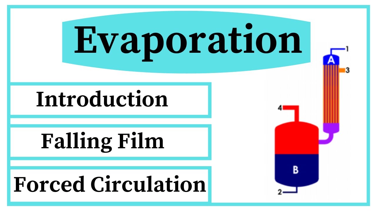 Evaporation || Falling Film Evaporator Working Principle | Natural And Forced Circulation Evaporator