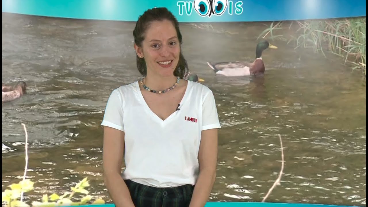 TVOXOIS JOURNAL N°103