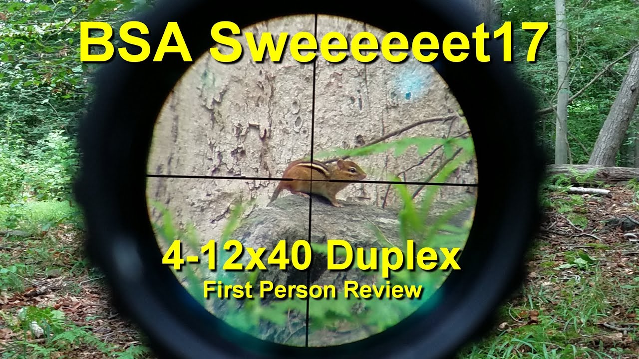 BSA Sweet 17 3-12x40 мм — Что можно купить за 107 долларов? — Обзор от первого лица