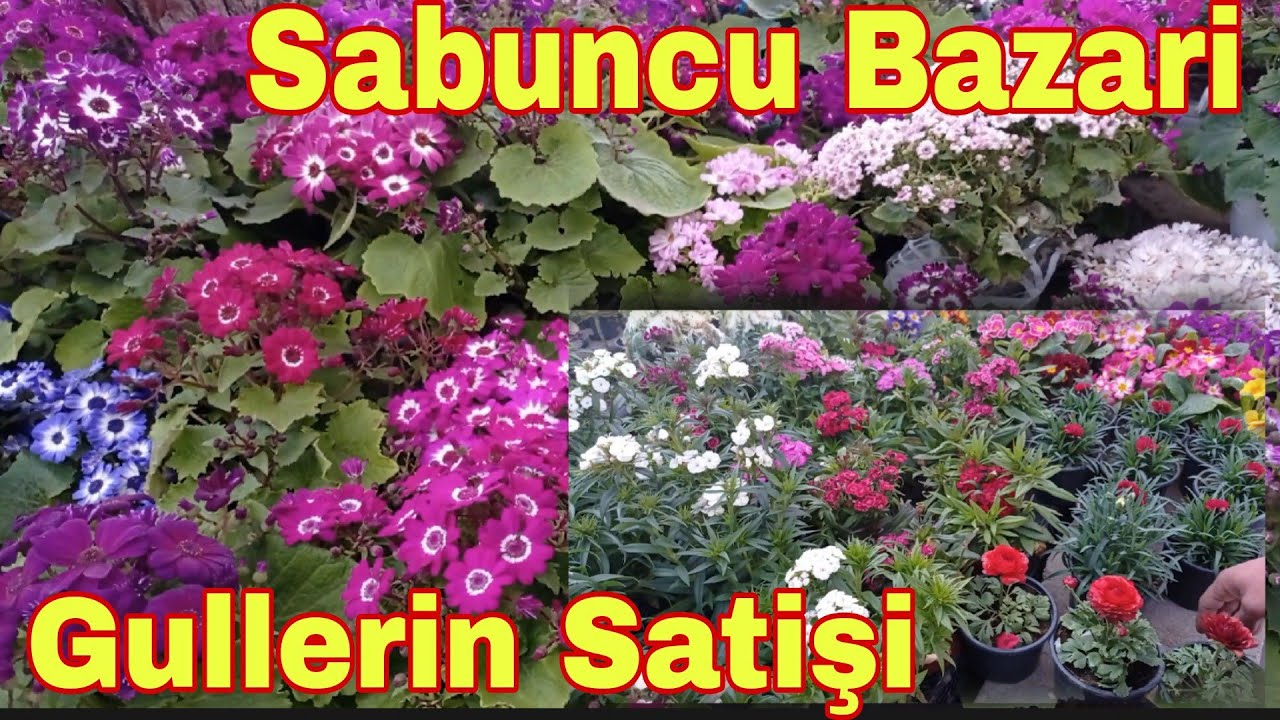 Sabuncu Bazari Gullerin Satişi 06.03.2022