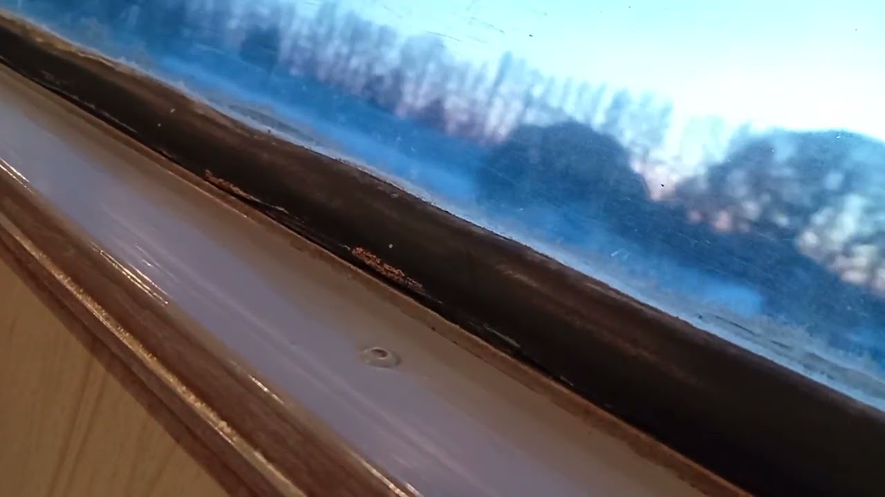 15 февраля 2026 г.