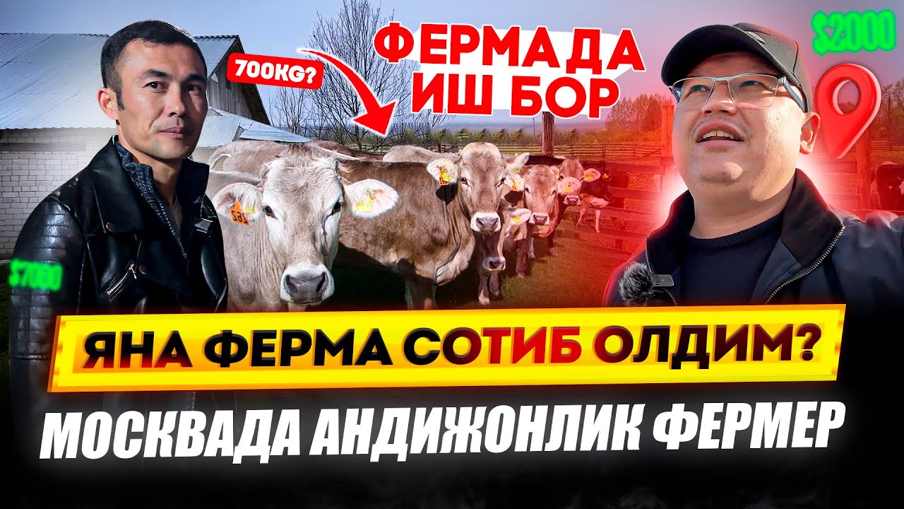 МОСКВАДА ШВЕД МОЛ НАРХЛАРИ! ФЕРМАДА ИШ БОР! АНДИЖОНЛИК АКА КАНЧА ПУЛ ТОПАДИ? @TOMOSHATVN1