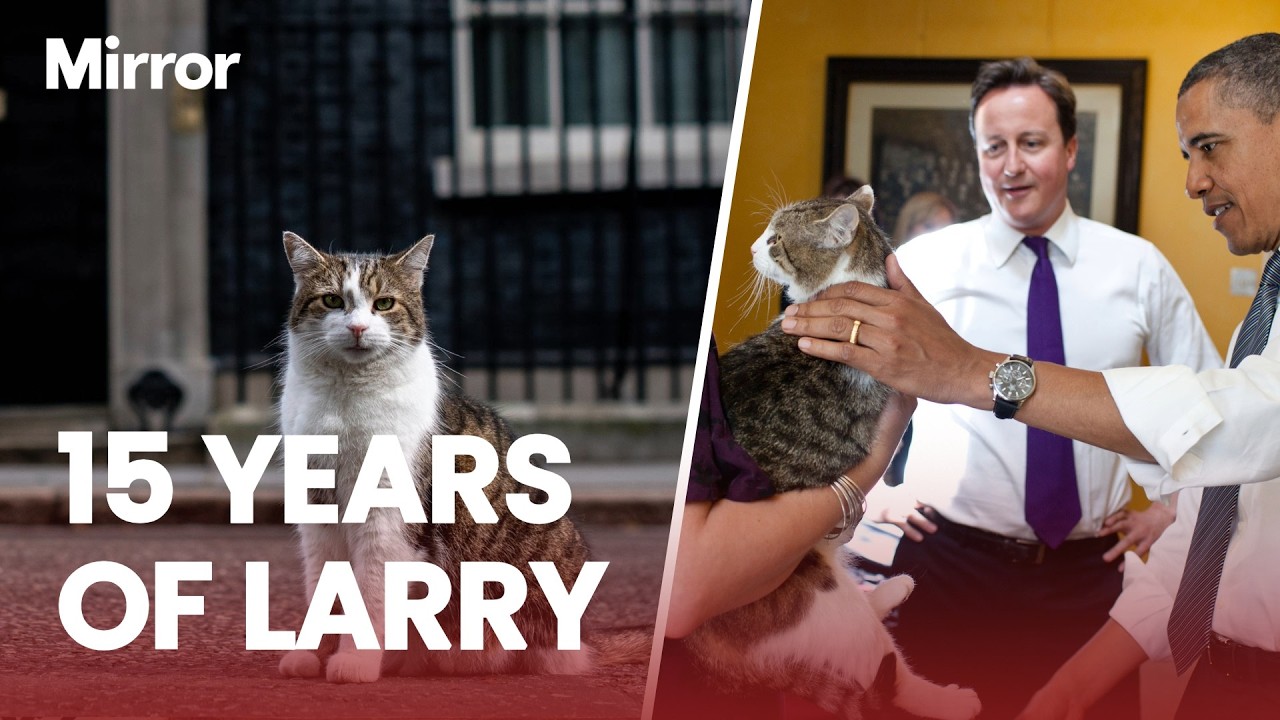Larry the cat reaches 15 year milestone as Downing Street’s official Chief Mouser