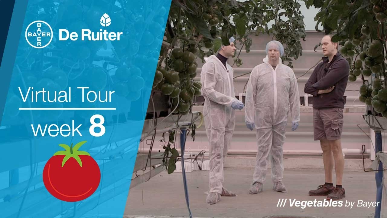 Virtual tour - Luminity in de Praktijk - Diep rood, groftros & sterke zomerprestaties