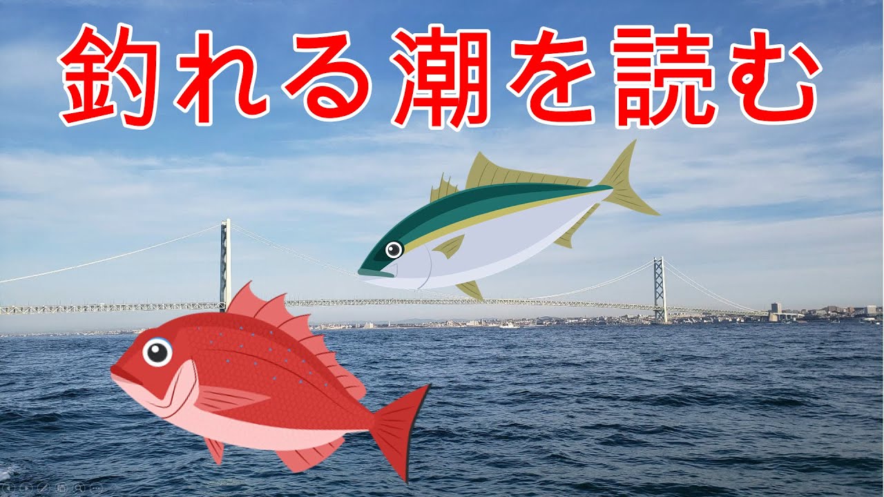 『釣行時一番役立つ情報は潮の流れ！』最も重要な潮流の読み方解説します