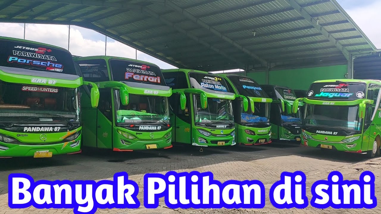 Bus Pariwisata Pandawa 87 Pasuruan Jawa Timur