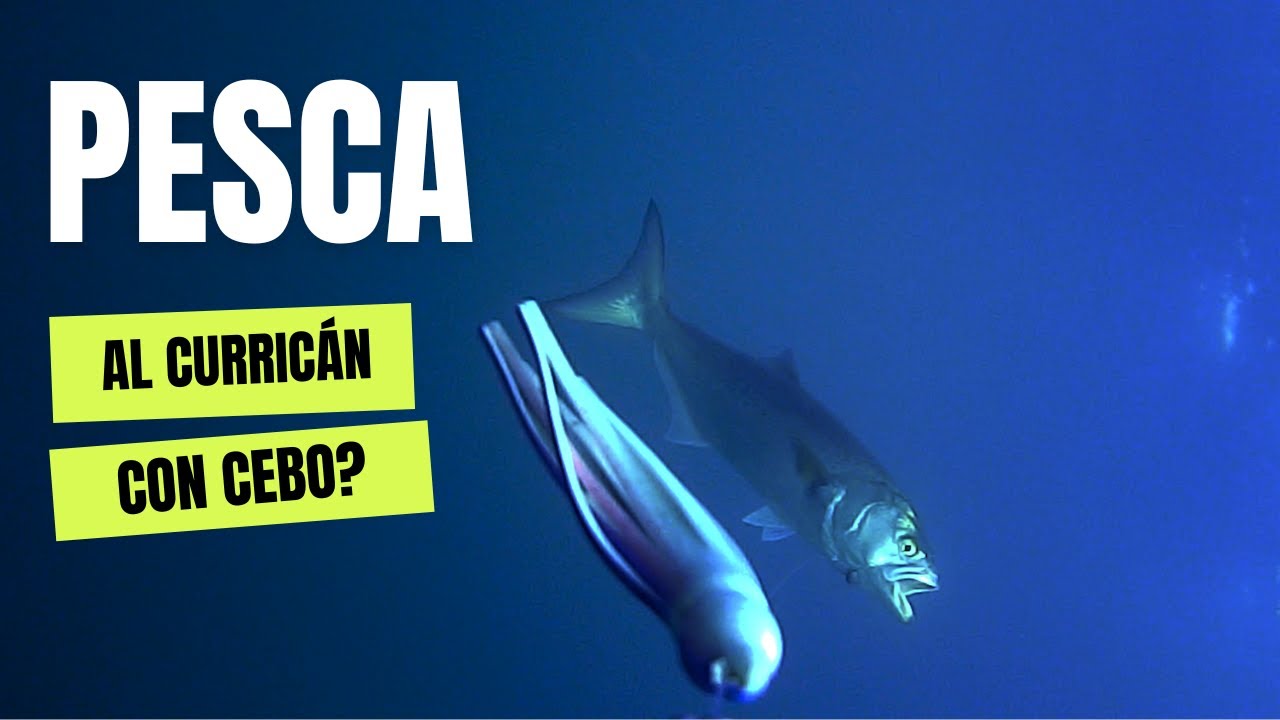 💡 TÉCNICAS DE PESCA EN KAYAK: PESCA CON CEBO AL CURRICÁN.
