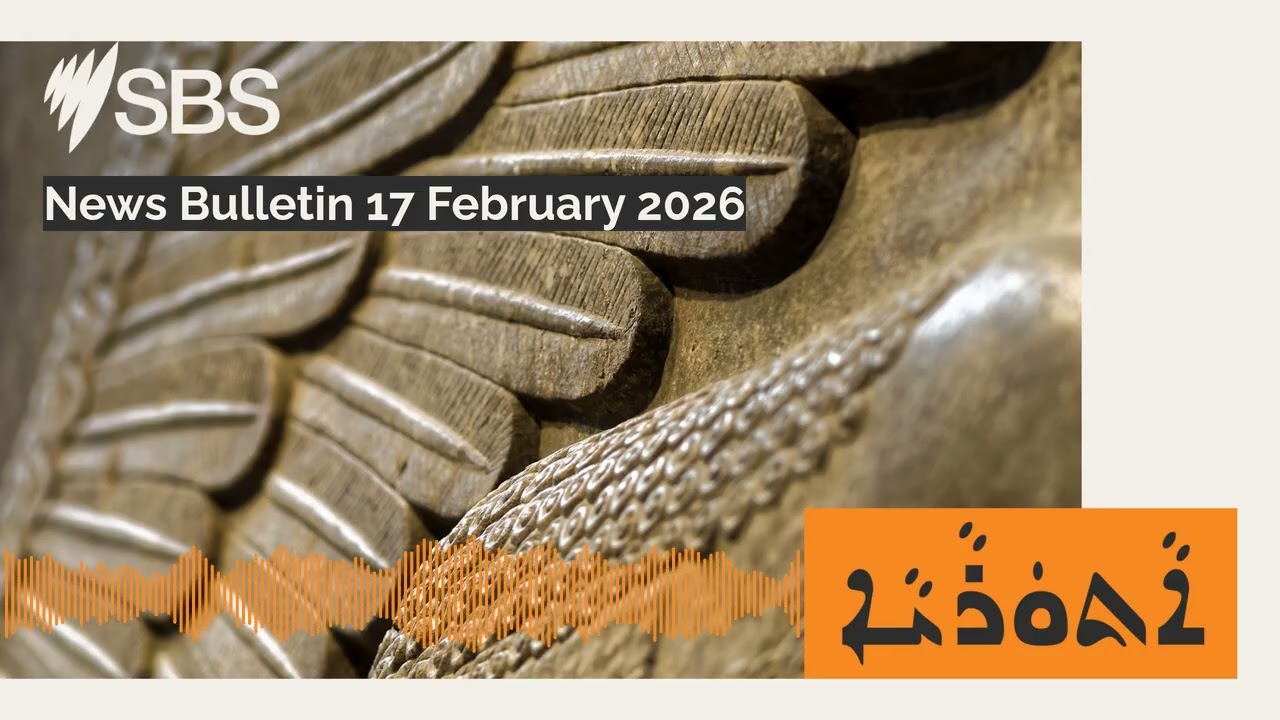 News Bulletin 17 February 2026 | SBS Assyrian