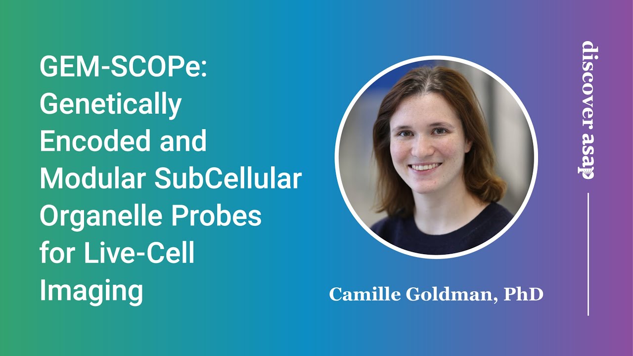 Genetically Encoded and Modular SubCellular Organelle Probes