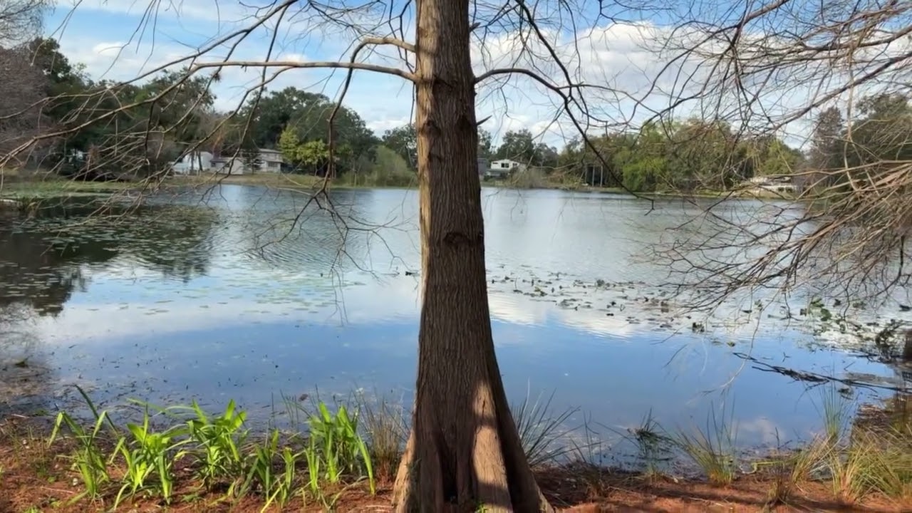 The Quiet Lake