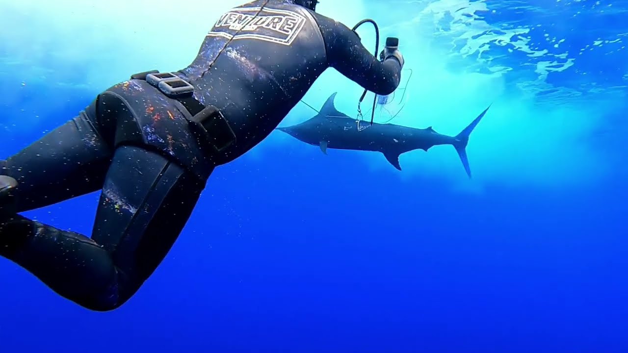 Spearfishing whith Nicolas Tahimanarii in French Polynesia