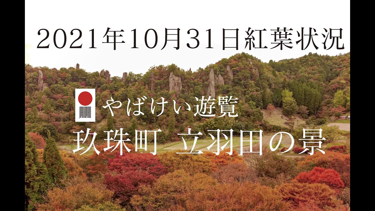 玖珠町 立羽田の景　2021/10/31（紅葉状況）ドローン