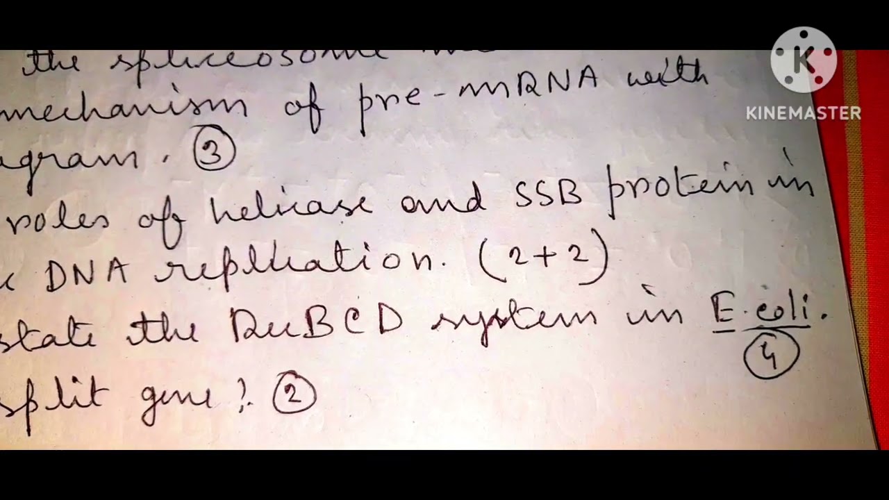 MOLECULAR BIOLOGY PREVIOUS YEAR 2019 QUESTION DISCUSSION FOR SEM 4 ZOOLOGY MAJOR STUDENTS 2025