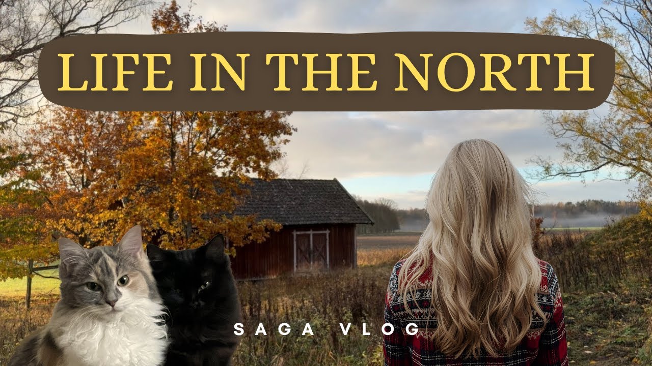 Living life with my cats in rural Sweden | calm | slowliving