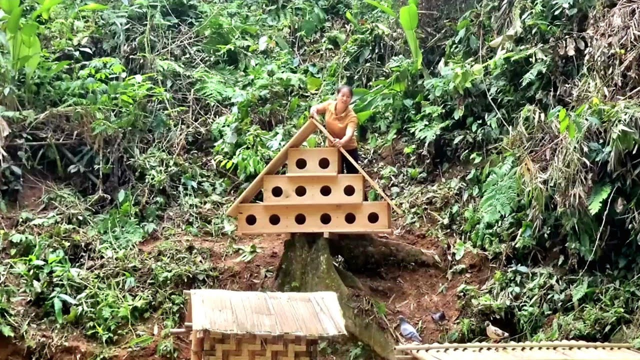 The young woman designed a sturdy wooden pigeon coop