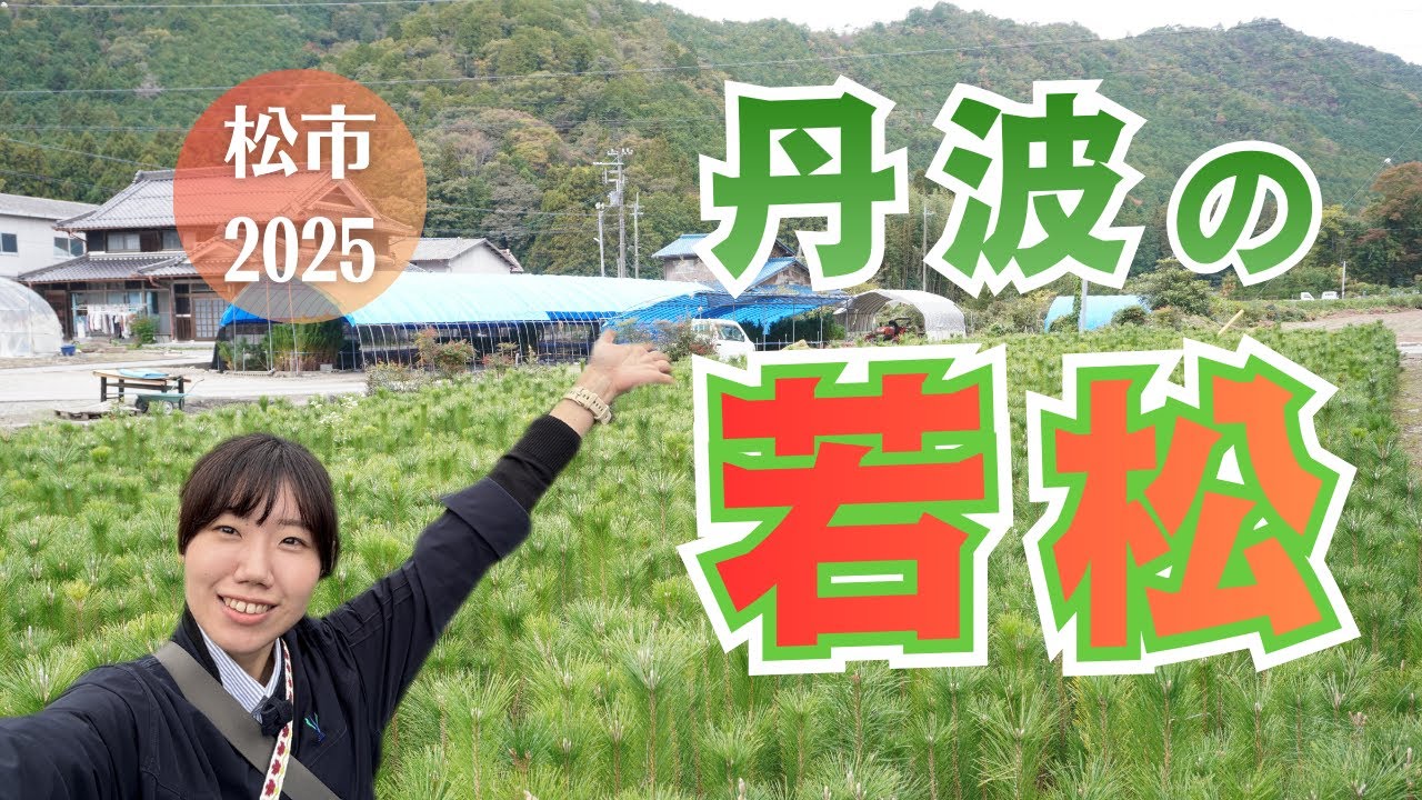 選ばれる理由がある。【若松の里・丹波】しなやかで美しい松－その生産の現場に密着！！＠兵庫県丹波市