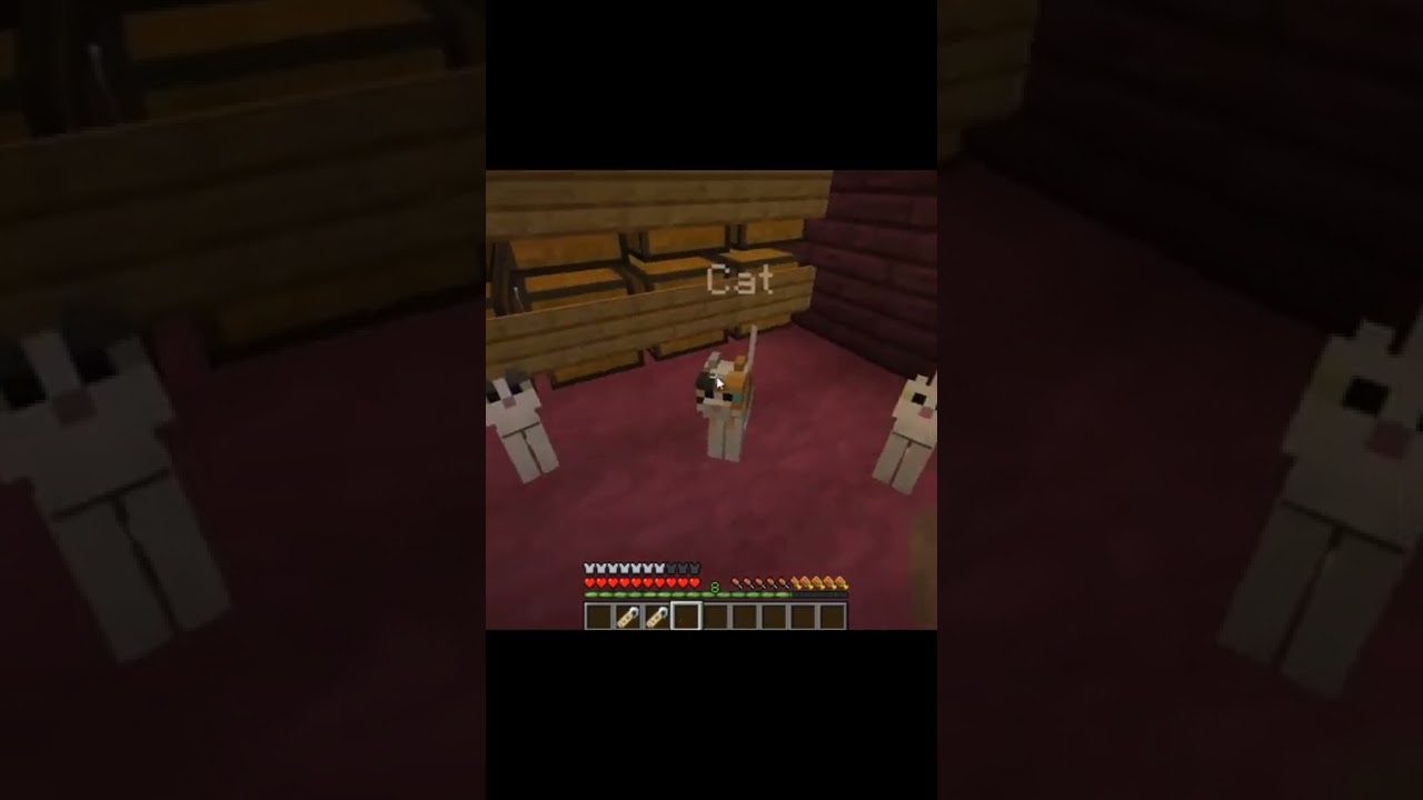 Minecraft arabic cat name  tag meme