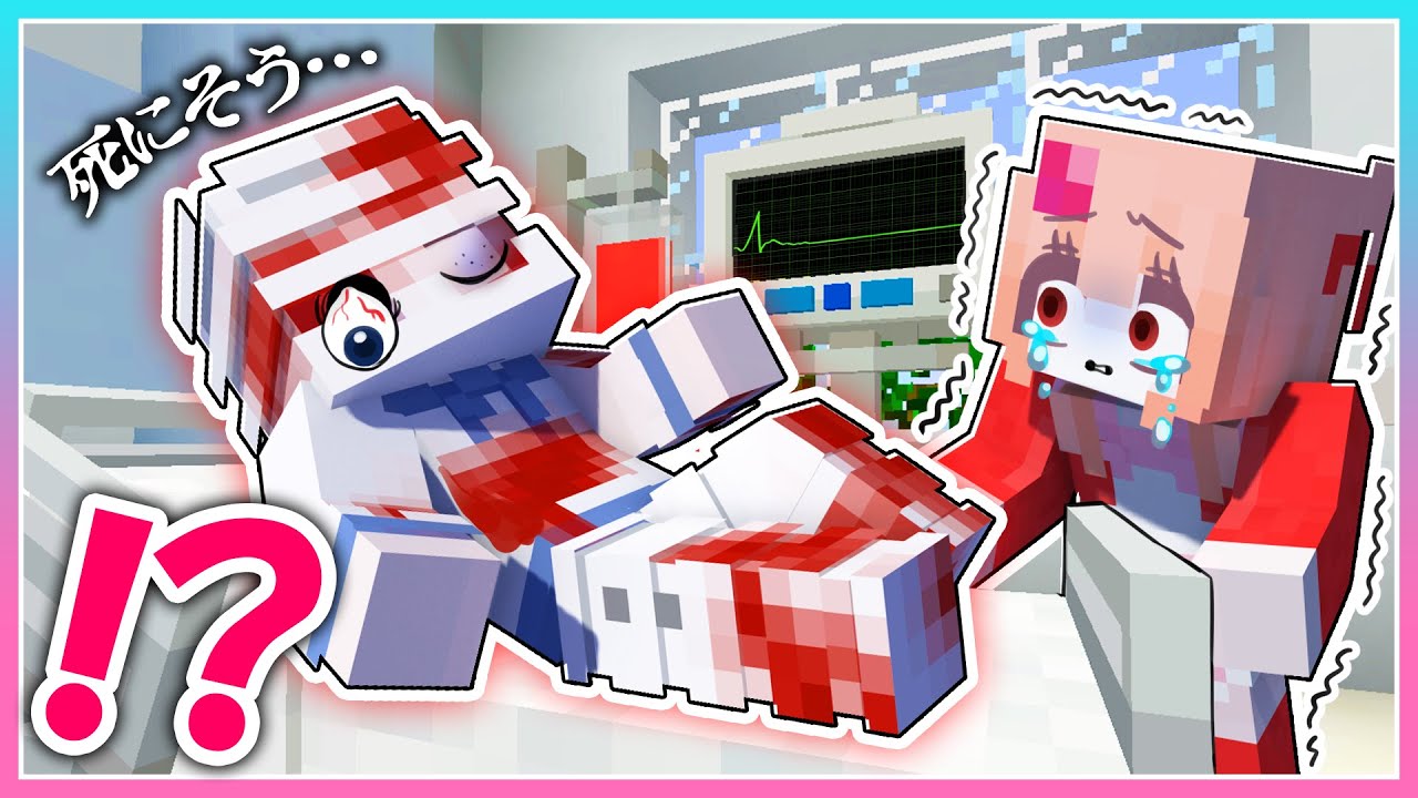 🍒大ケガした妹をたすけるマインクラフト【まいくら・Minecraft】りぃべる