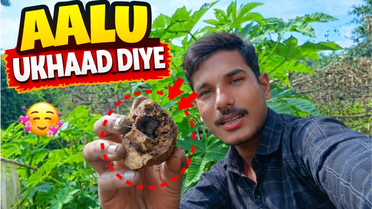 Aaj Khet Se Aalu Ukhaad Diye 😍 || Desi Farming Vlog || 