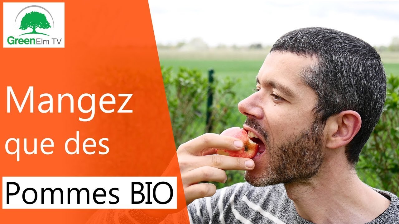 Pourquoi il ne faut manger QUE des pommes BIO ? [2018]