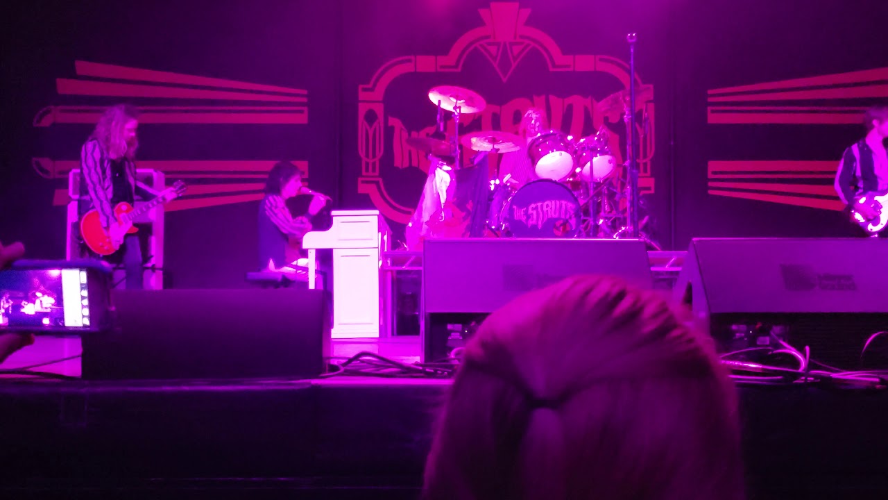 The Struts 