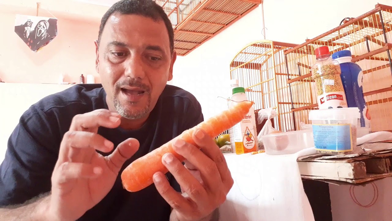 Antes de comprar um Manssarrao 👉assista esse vídeo