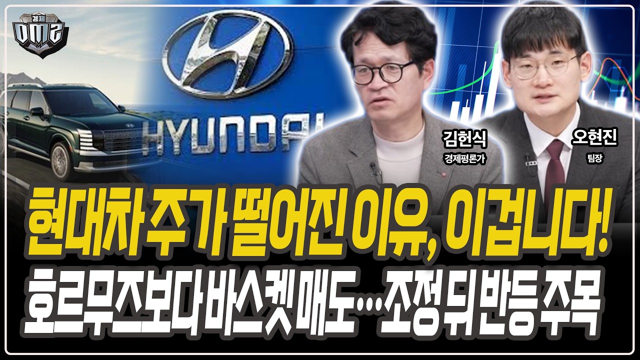 현대차 하락, 수급 이탈이 핵심 변수 [김헌식 경제평론가] [오현진 팀장]