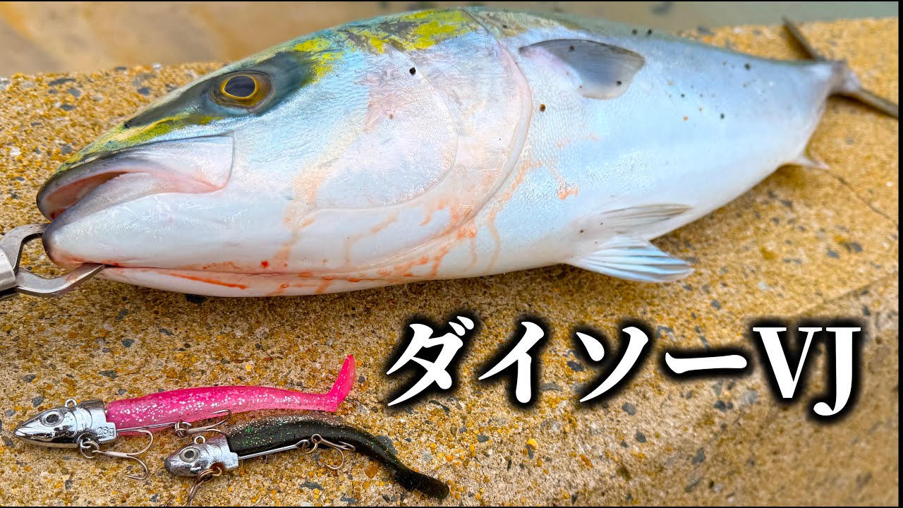 何を投げても釣れないがダイソーVJを投げると・・・【ショアジギング】