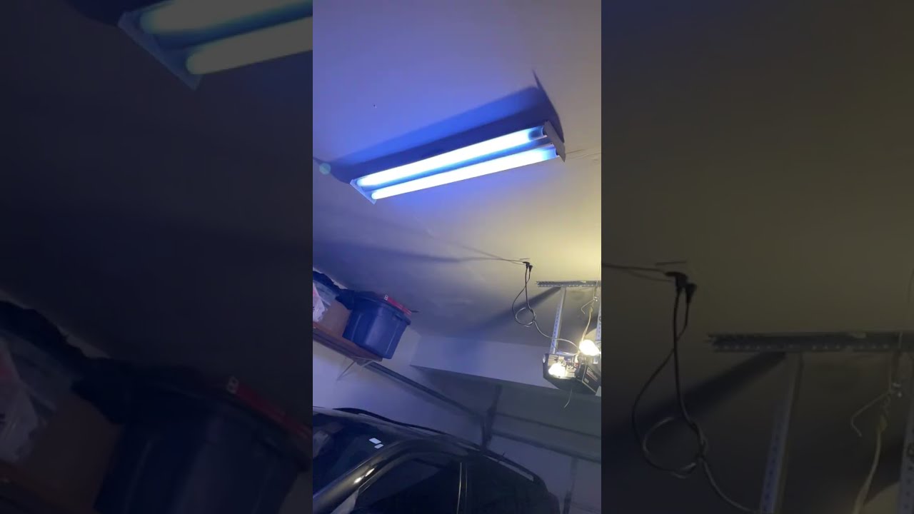 Something is seriously wrong with the garage fluorescent light!