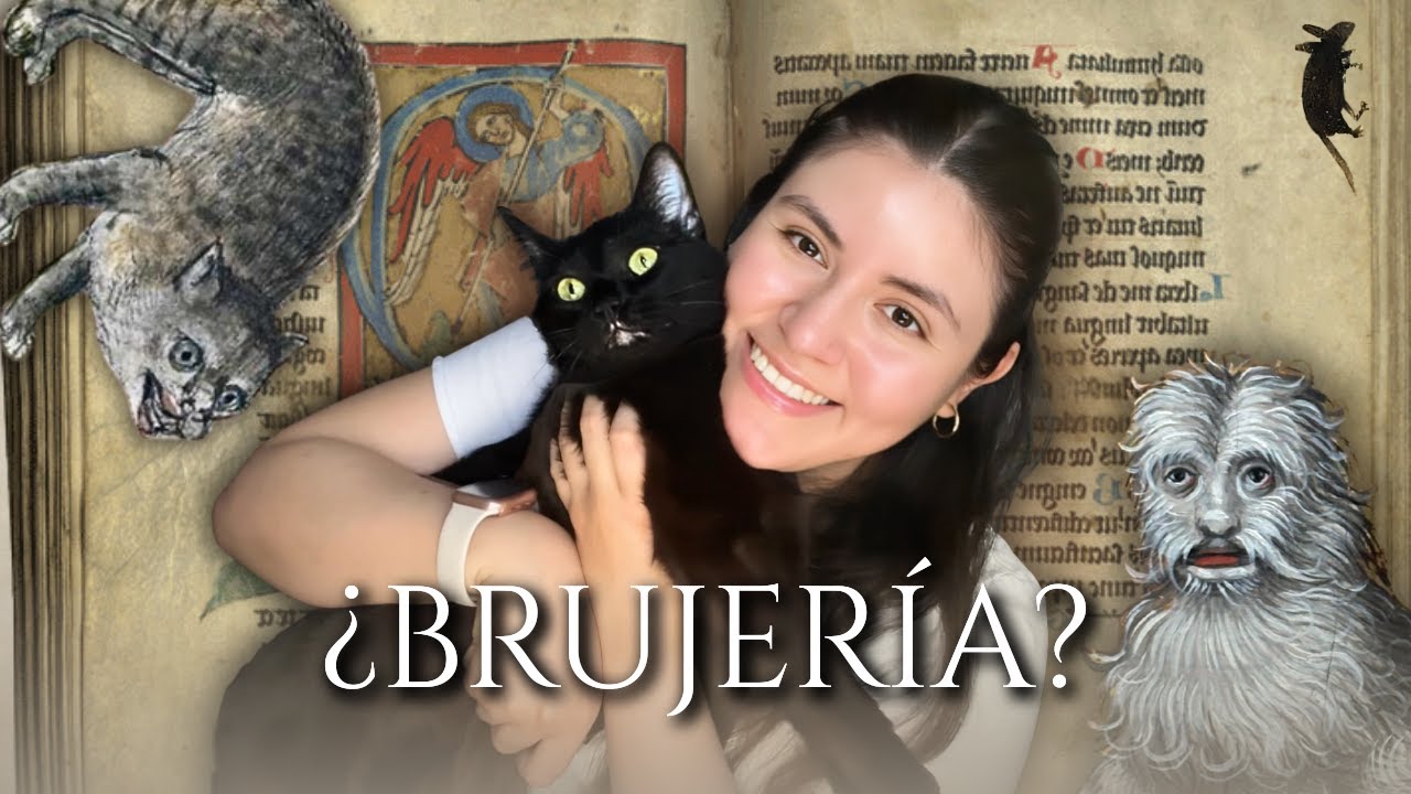 Gatos y perros en la Edad Media 🐈‍⬛ | Arte e Historia 🏰