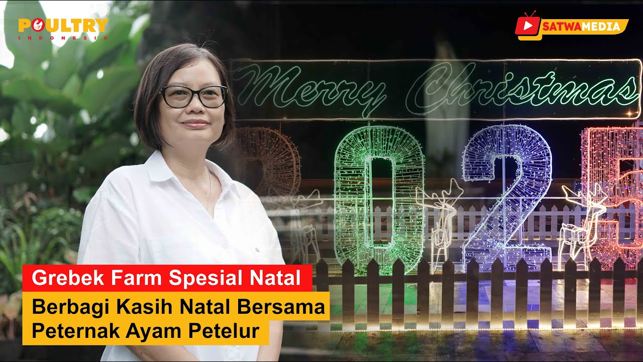 Dari Kandang ke Rumah Tuhan: Kisah Peternak Berbagi di Hari Natal