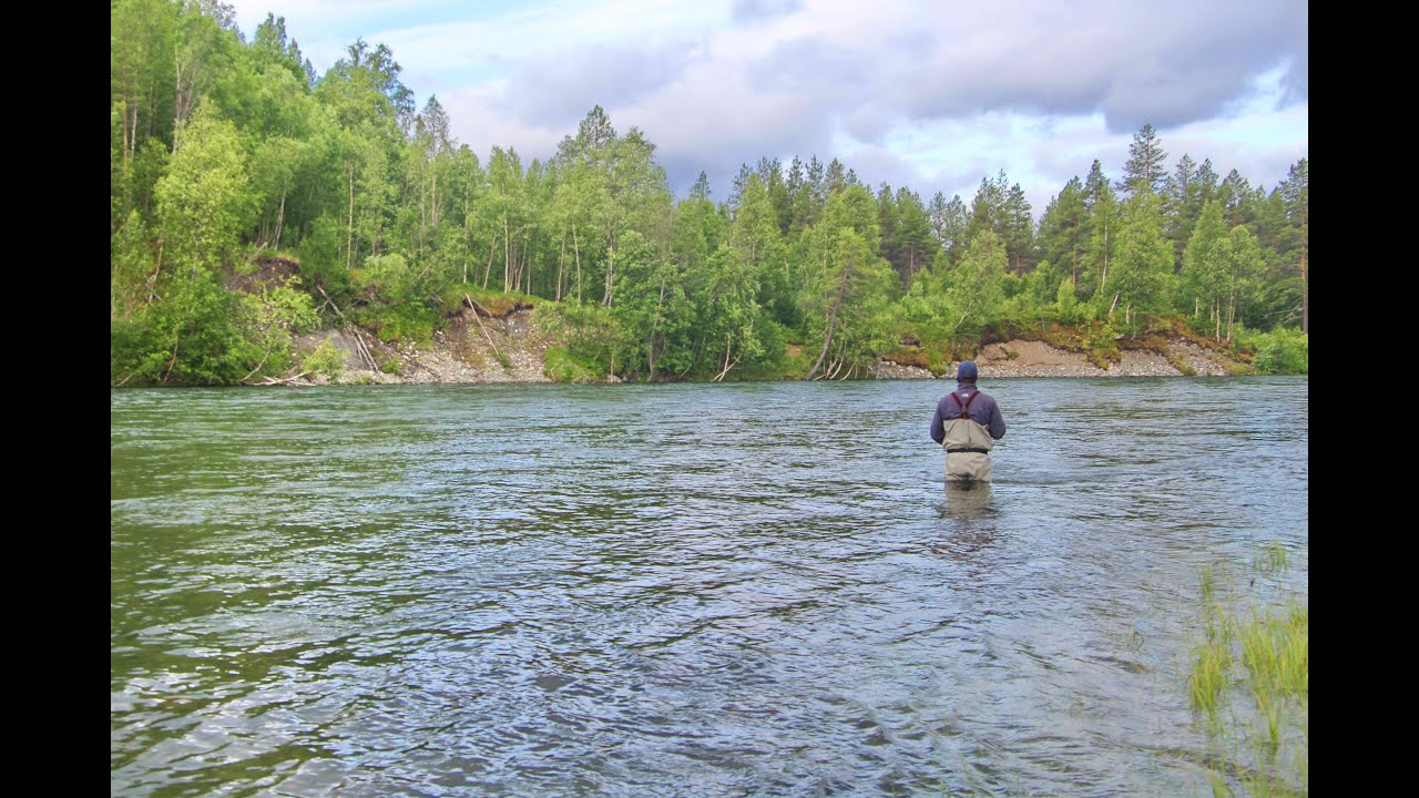 Atlantic salmon fishing/laksefiske, Maalselva, Norway 2015