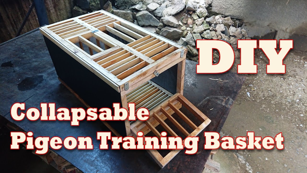 DIY Pigeon Training Basket / Training Box