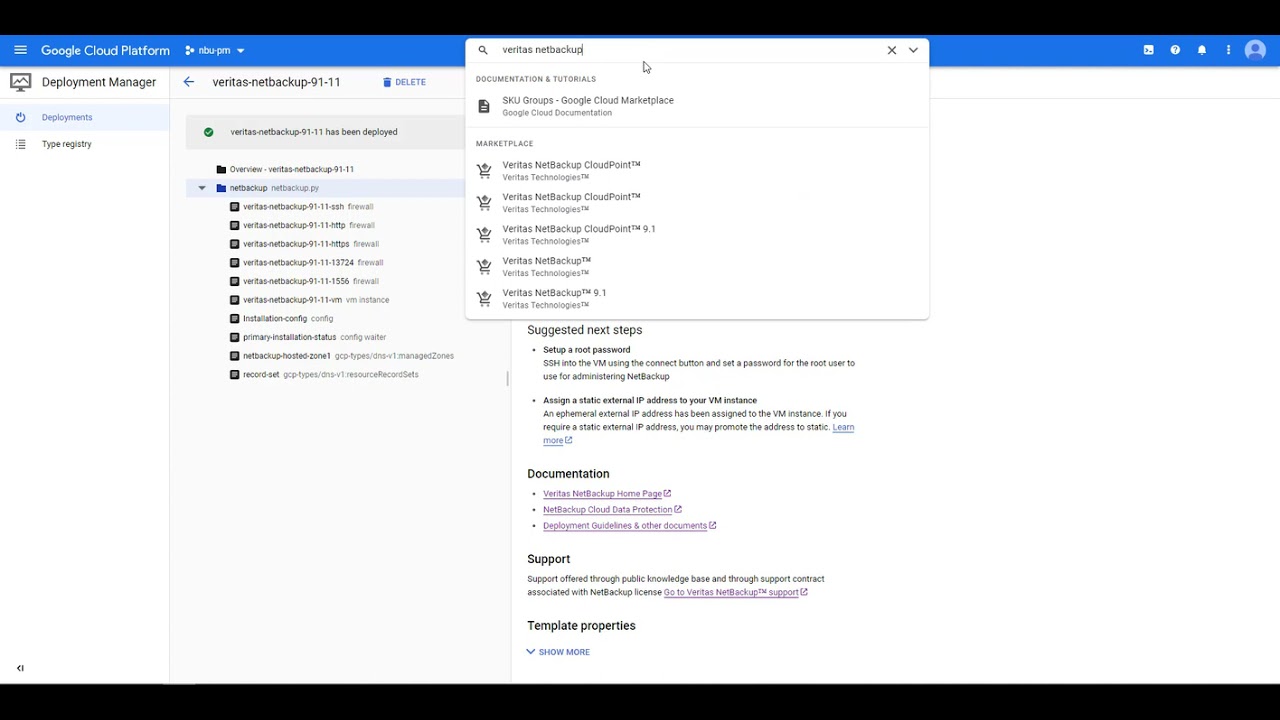 Deploying NetBackup in Google Cloud