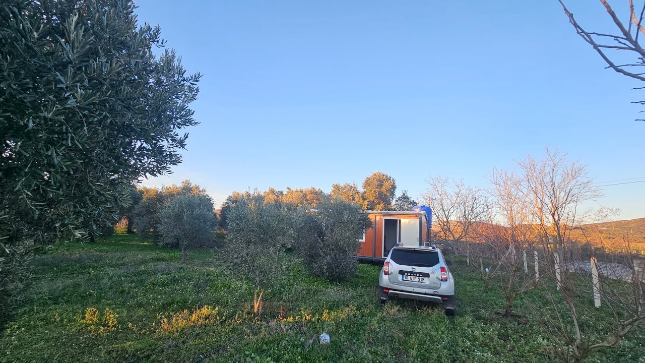 Satılık zeytin bahçesi 2260 m2